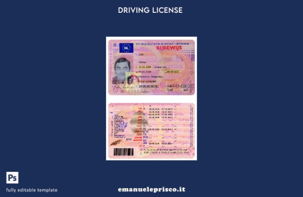 verified style modello DL olandese in stile verificato template